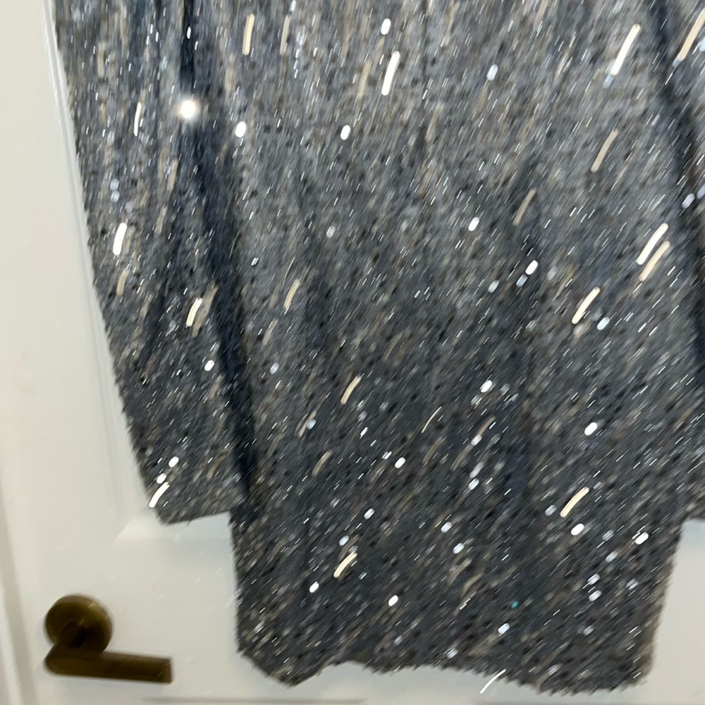 Elegant Silver Sequin Dress - Picture 4 of 4
